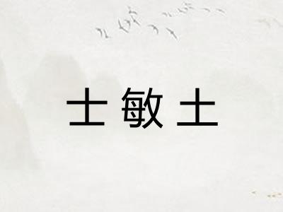 士敏土