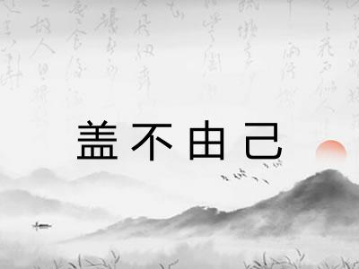 盖不由己