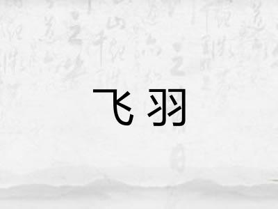 飞羽