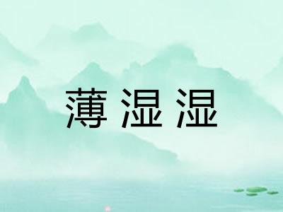 薄湿湿