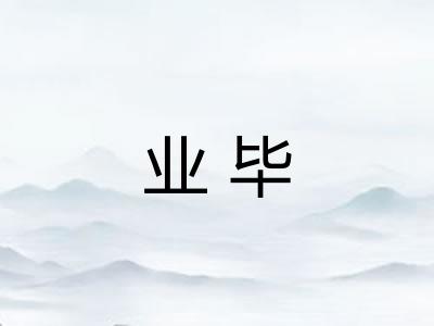业毕