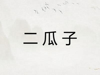 二瓜子