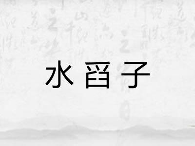 水舀子