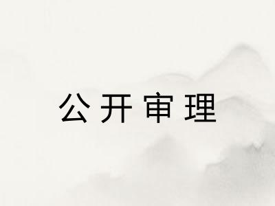 公开审理