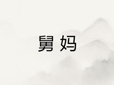 舅妈
