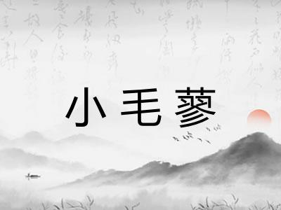 小毛蓼