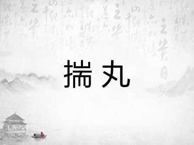 揣丸