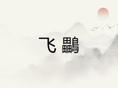 飞鸓