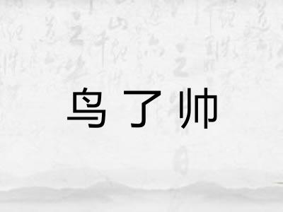 鸟了帅