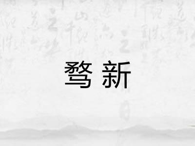 骛新