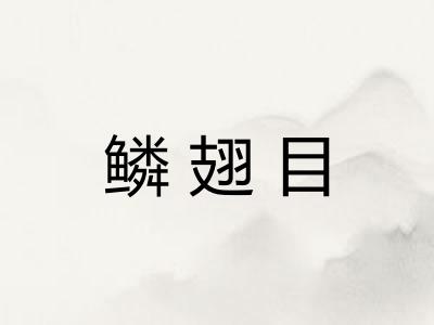 鳞翅目