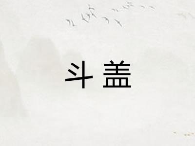 斗盖