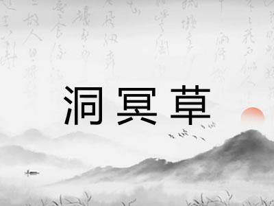 洞冥草