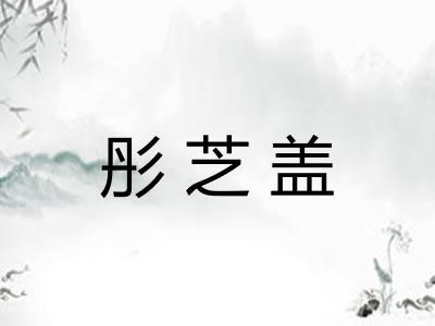 彤芝盖