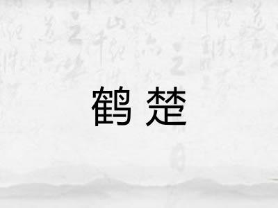 鹤楚