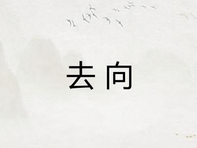 去向