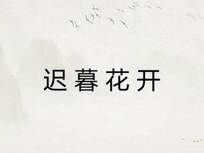 迟暮花开