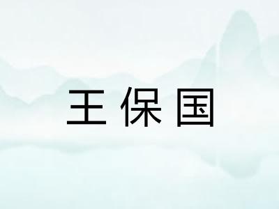 王保国