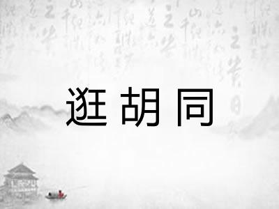 逛胡同