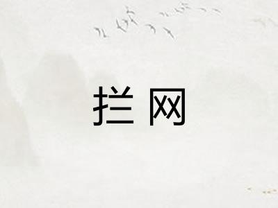 拦网