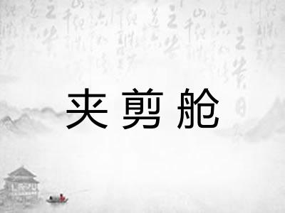 夹剪舱