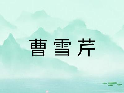曹雪芹