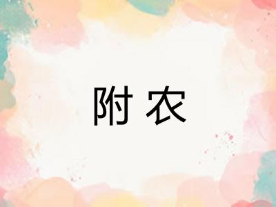 附农