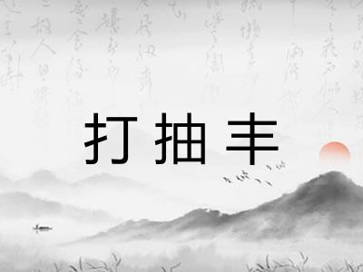 打抽丰