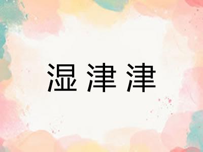 湿津津