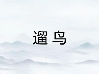 遛鸟