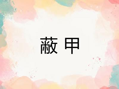 蔽甲