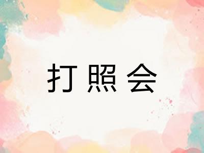 打照会