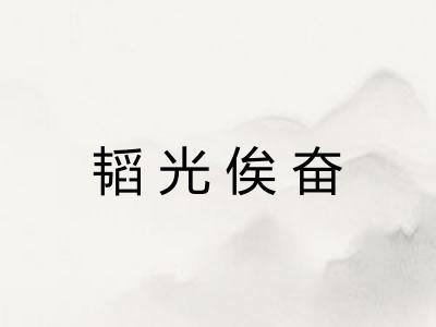 韬光俟奋