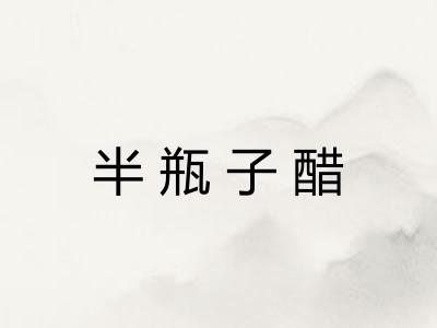 半瓶子醋