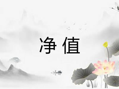 净值