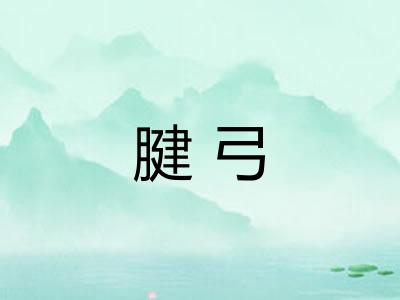 腱弓