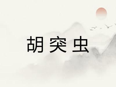 胡突虫