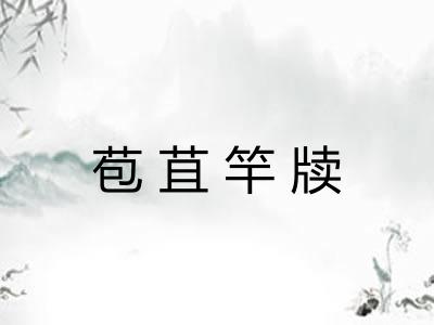 苞苴竿牍