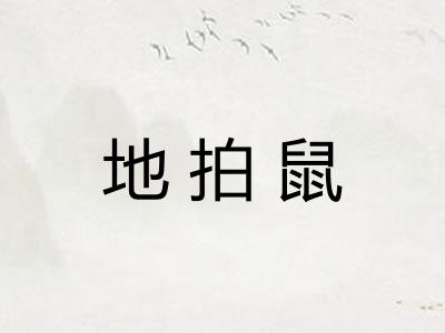 地拍鼠
