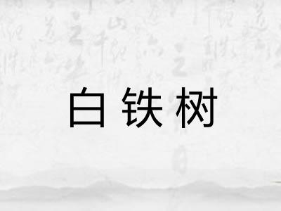 白铁树