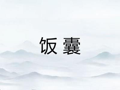 饭囊