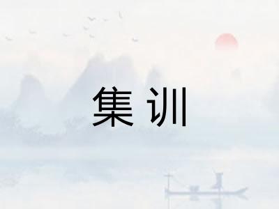 集训