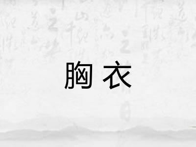 胸衣