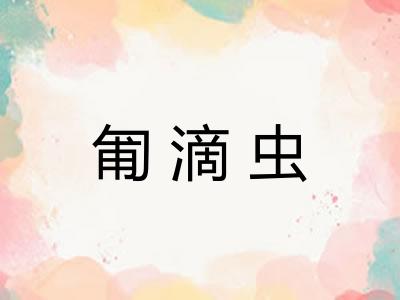 匍滴虫