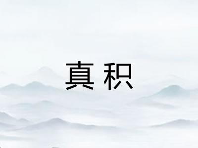 真积