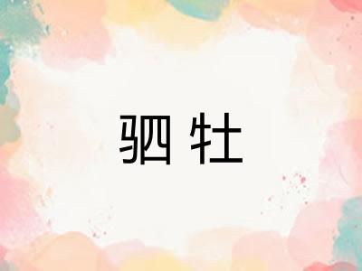 驷牡