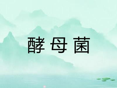 酵母菌