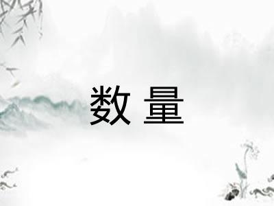 数量