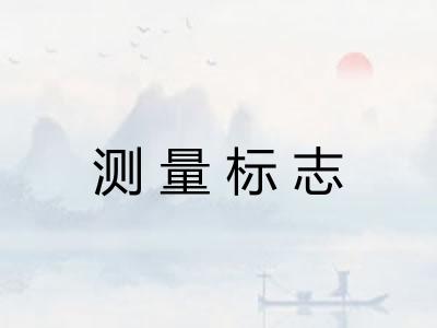 测量标志