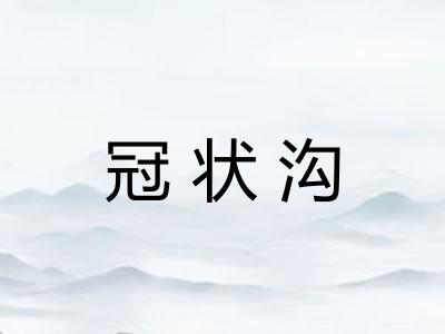 冠状沟